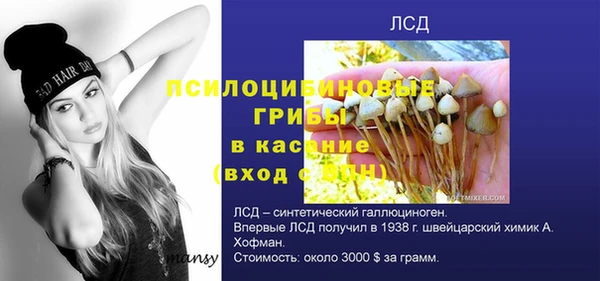 таблы Армянск