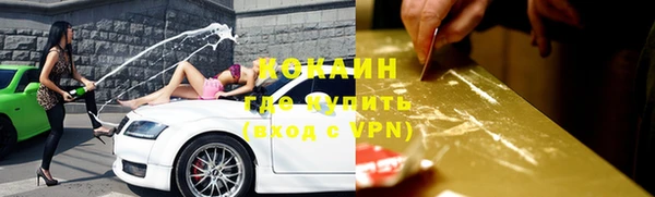 гидра Аркадак