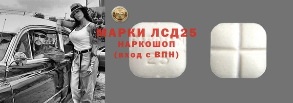 гидра Аркадак