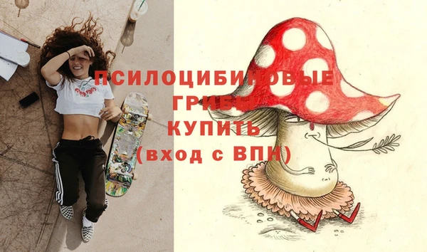 гидра Аркадак