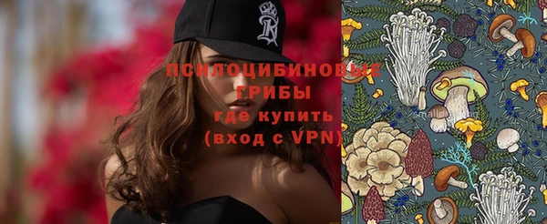 прущие крисы Арсеньев