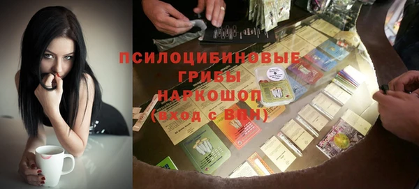 прущие крисы Арсеньев