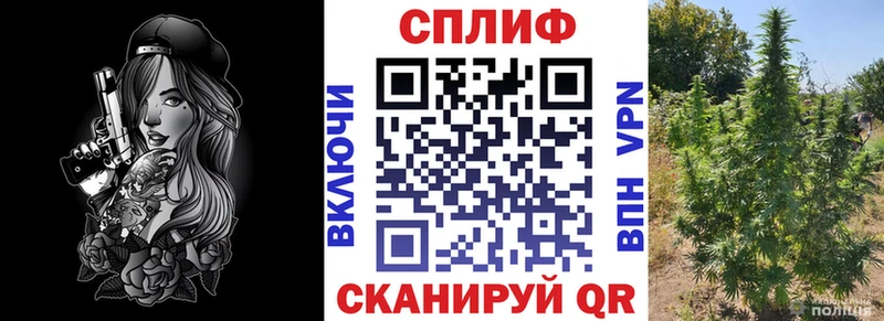 Конопля OG Kush  Воронеж 